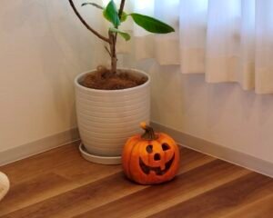 今年のハロウィンはLocaleで！パーティーを楽しむアイデア